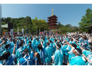 日野市のひの新選組まつりの画像