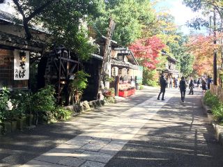深大寺そば祭りの画像