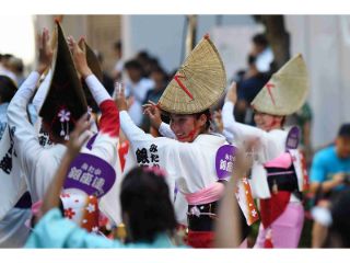 三鷹阿波おどりの画像